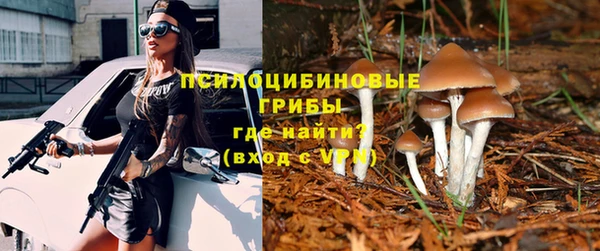 стафф Абдулино
