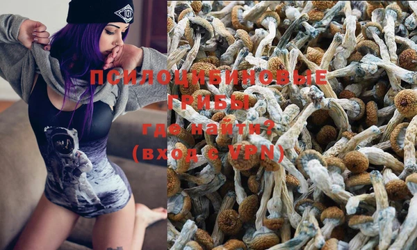 бошки Абаза