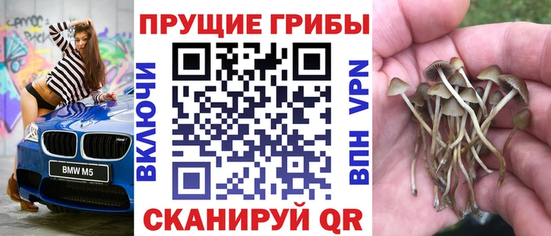 где можно купить наркотик  Омск  Галлюциногенные грибы GOLDEN TEACHER 