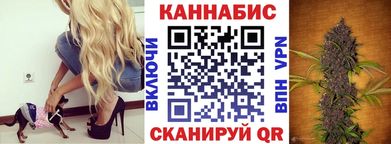 хочу наркоту  shop телеграм  Шишки марихуана THC 21%  Омск 